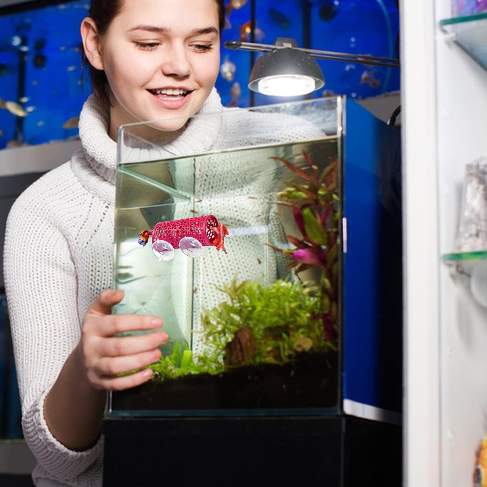 Aquarium Fish Youtube - Ozdoba do akwarium Betta, tunel dla