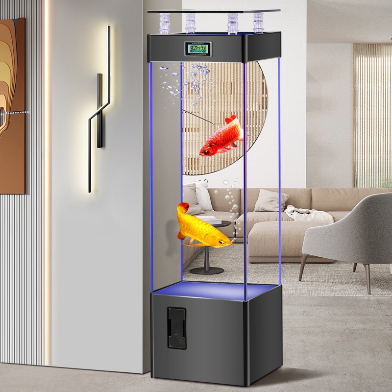 Aquarium Fish Goldfish - Bardzo przejrzysty szklany akwarium, bez konieczności