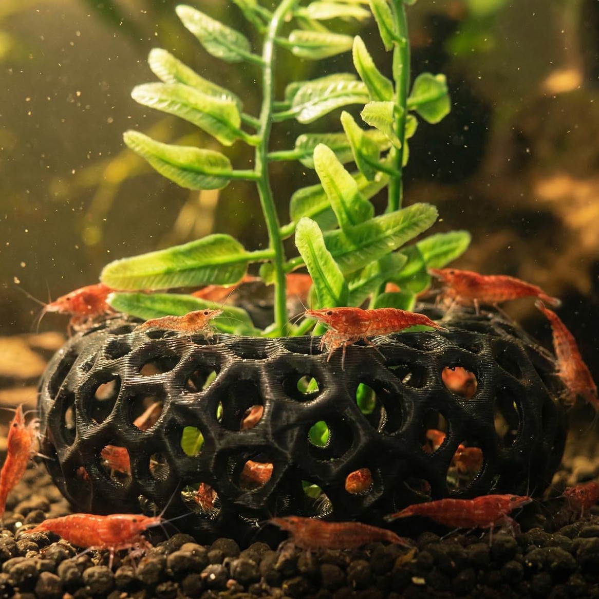 Aquarium Fish Reproduction - Popularny, drukowany w technologii 3D domek