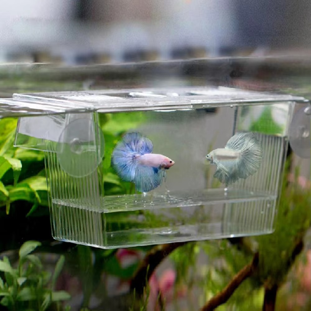 Aquarium Fish Reproduction - Kreatywny akrylowy inkubator do hodowli ryb,