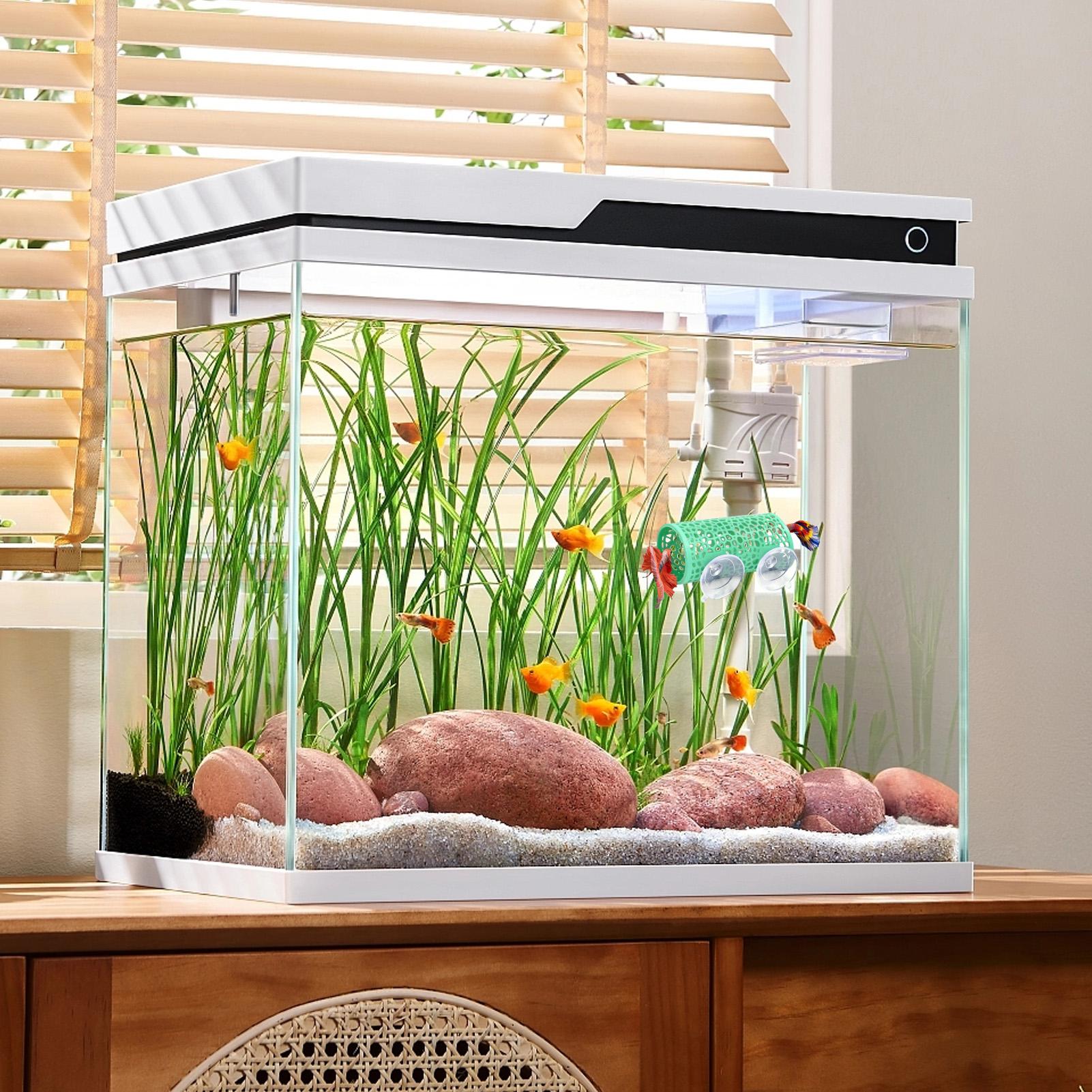 Ozdoba do akwarium Betta, tune – Aquarium Fish Youtube recenzja i cena