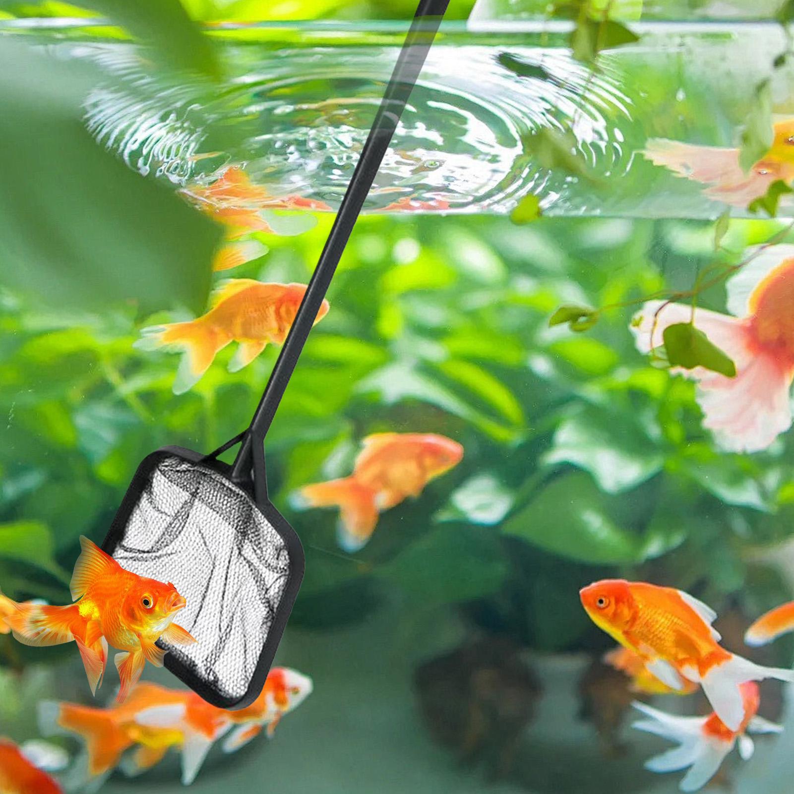 Siatki do czyszczenia basenów, – Aquarium Fish Real recenzja i cena