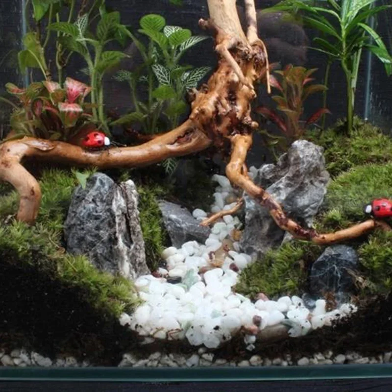 Naturalne drzewo pnia Driftwoo – Aquarium Fish Enrichment recenzja i cena