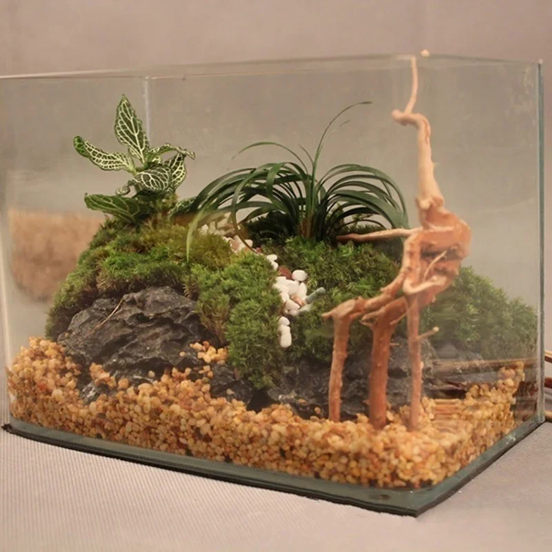 Naturalne drzewo pnia Driftwoo – Aquarium Fish Enrichment recenzja i cena