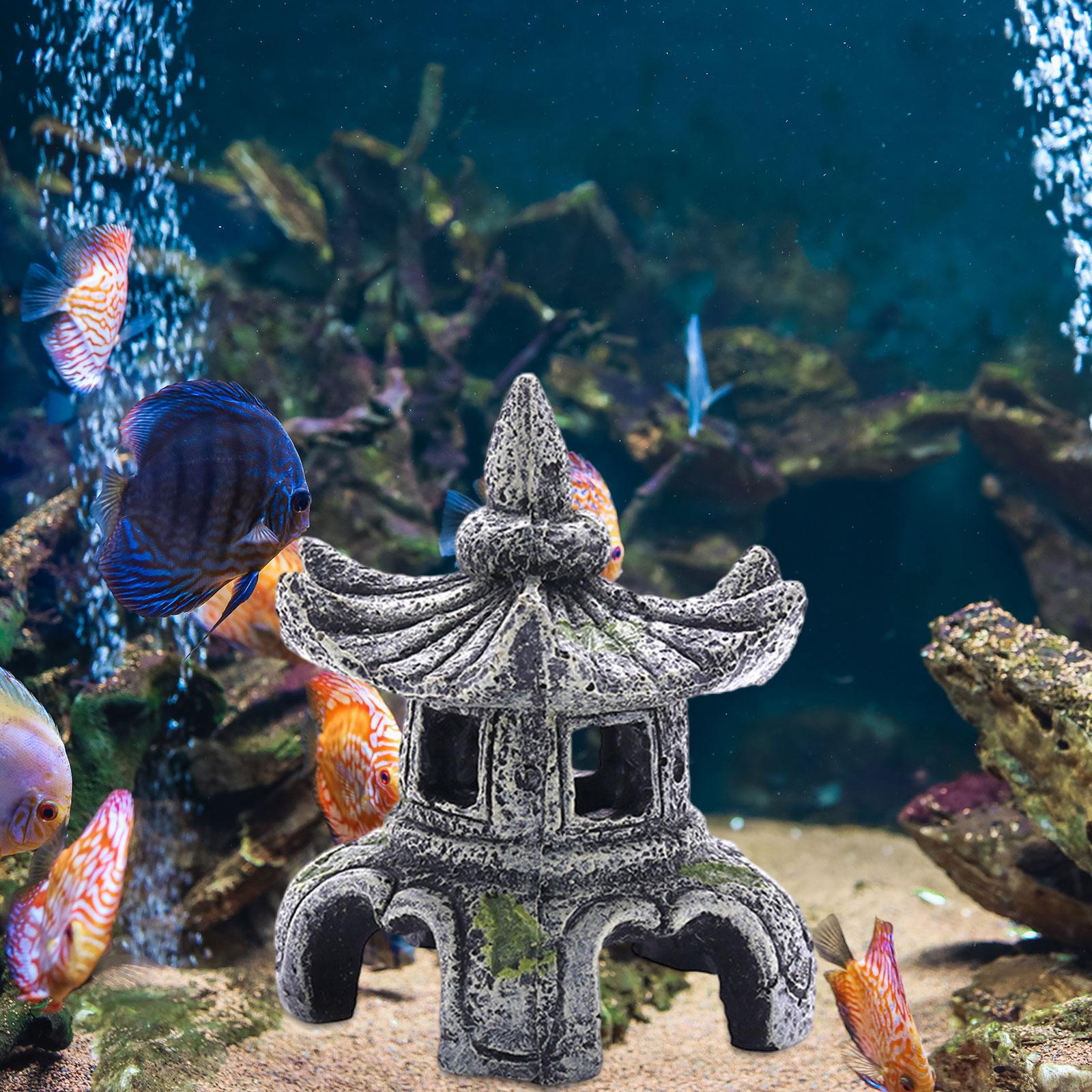 Ozdoba akwariowa Akcesoria akw – Aquarium Fish Enrichment recenzja i cena