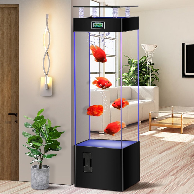 Bardzo przejrzysty szklany akw – Aquarium Fish Goldfish recenzja i cena