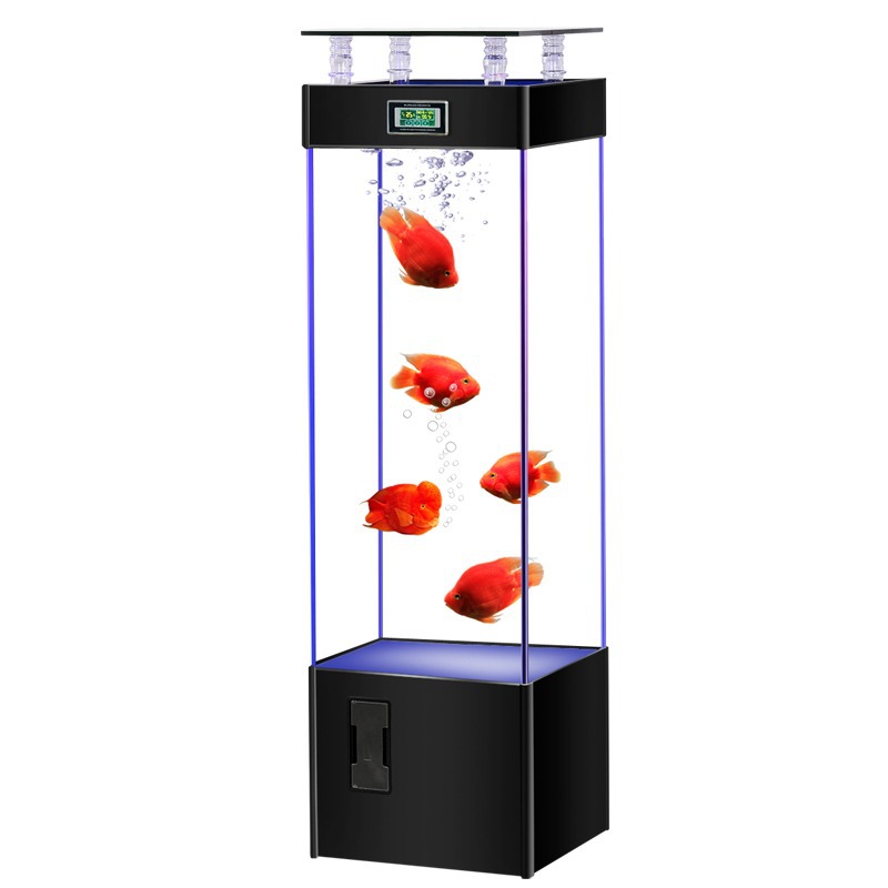 Bardzo przejrzysty szklany akw – Aquarium Fish Goldfish recenzja i cena