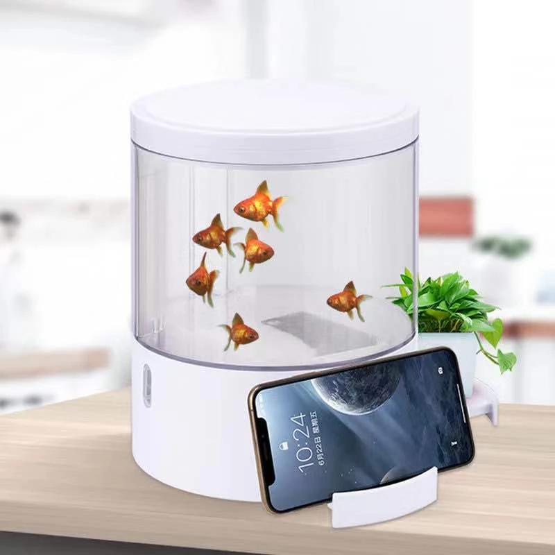 Okrągłe kolorowe światła pulpi – Aquarium Fish Goldfish recenzja i cena