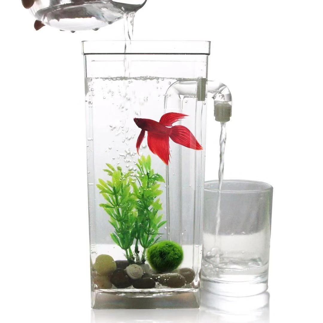 Leniwa bezpłatna wymiana wody  – Aquarium Fish Goldfish recenzja i cena