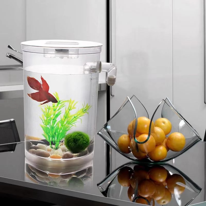 Leniwa bezpłatna wymiana wody  – Aquarium Fish Goldfish recenzja i cena