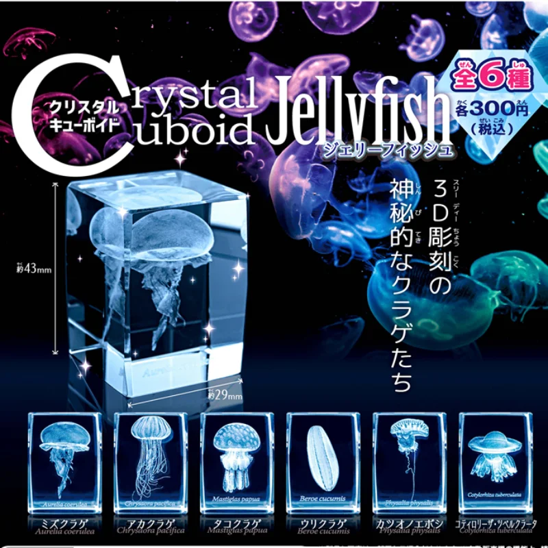 Japan Gashapon Jellyfish 3D Cr – Aquarium Fish Japan recenzja i cena