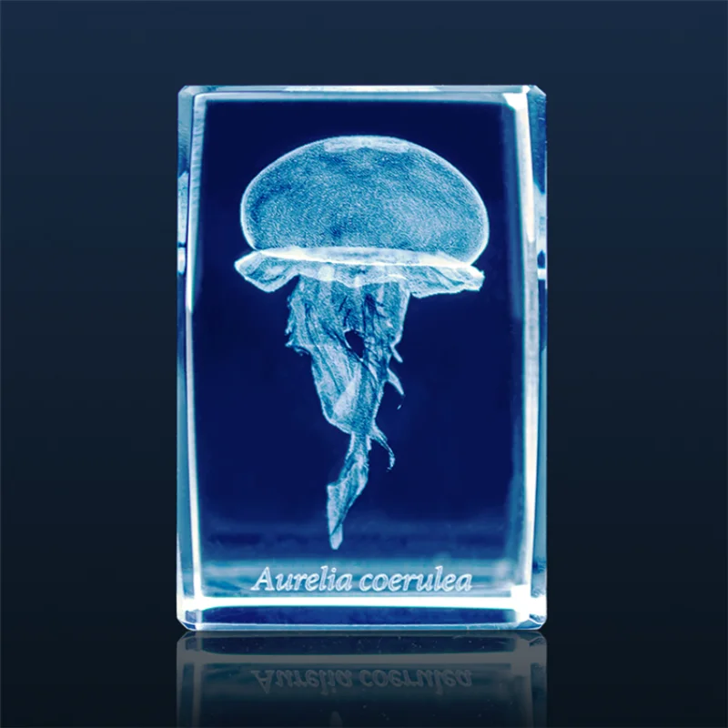 Japan Gashapon Jellyfish 3D Cr – Aquarium Fish Japan recenzja i cena