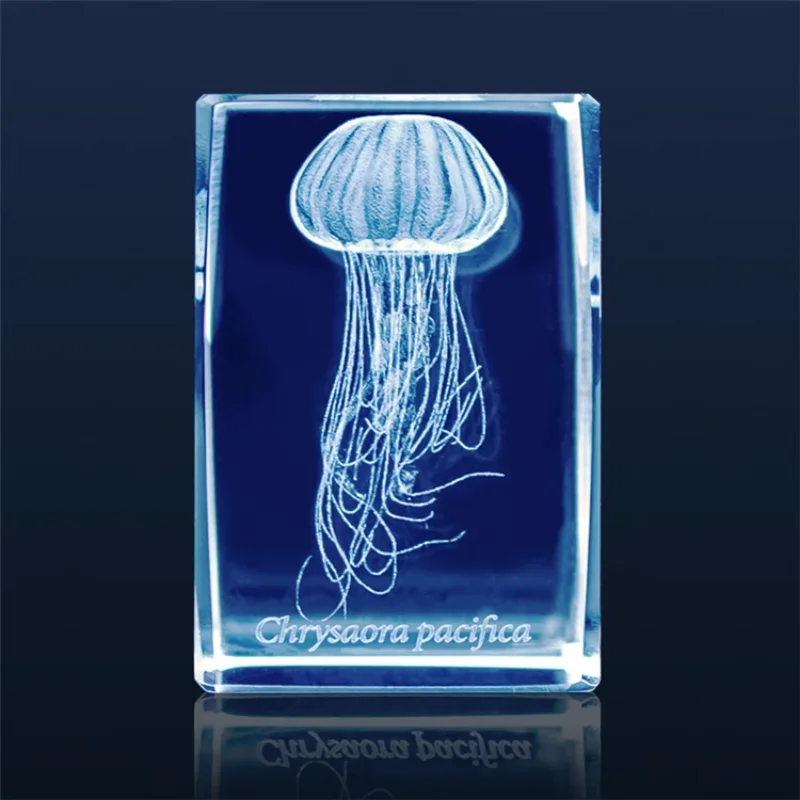 Japan Gashapon Jellyfish 3D Cr – Aquarium Fish Japan recenzja i cena