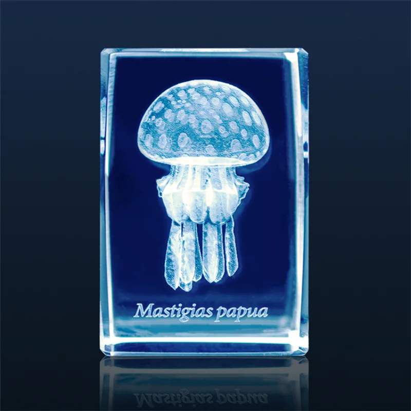 Japan Gashapon Jellyfish 3D Cr – Aquarium Fish Japan recenzja i cena