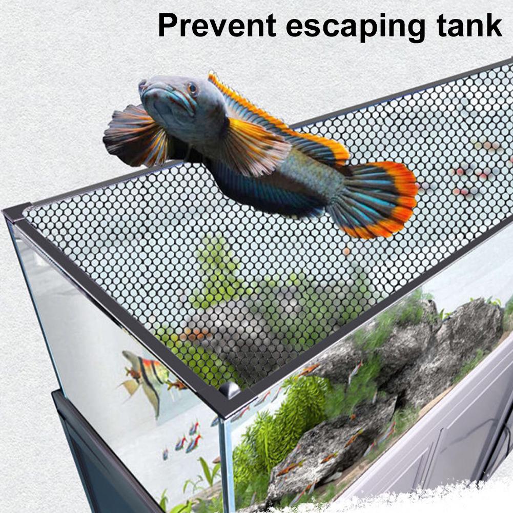 Magnetyczna siatka na akwarium – Aquarium Fish Jump Guard recenzja i cena