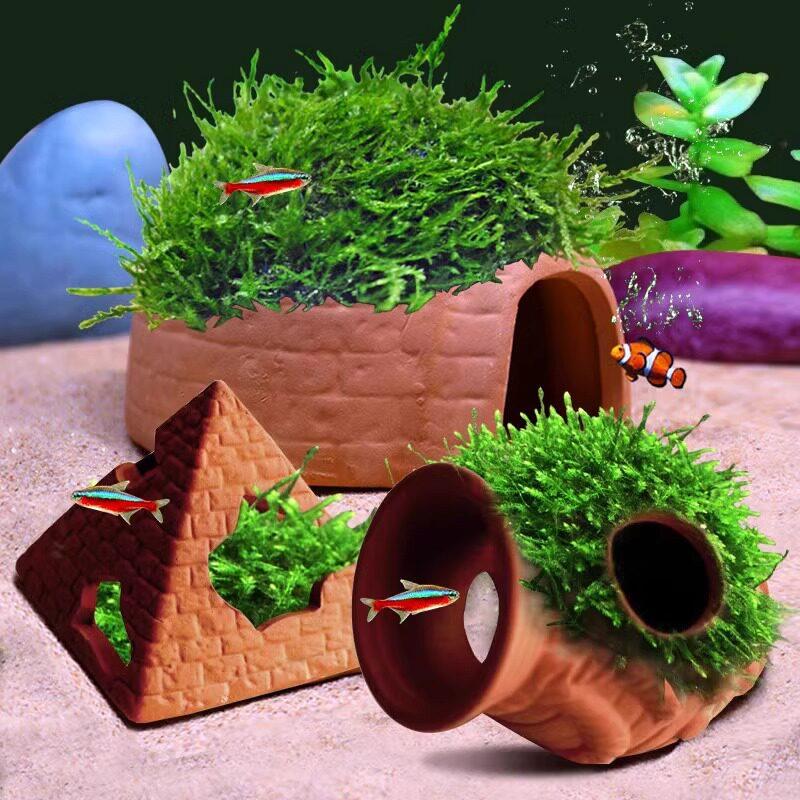   Glina do akwarium z otworem  – Aquarium Fish Reproduction recenzja i cena