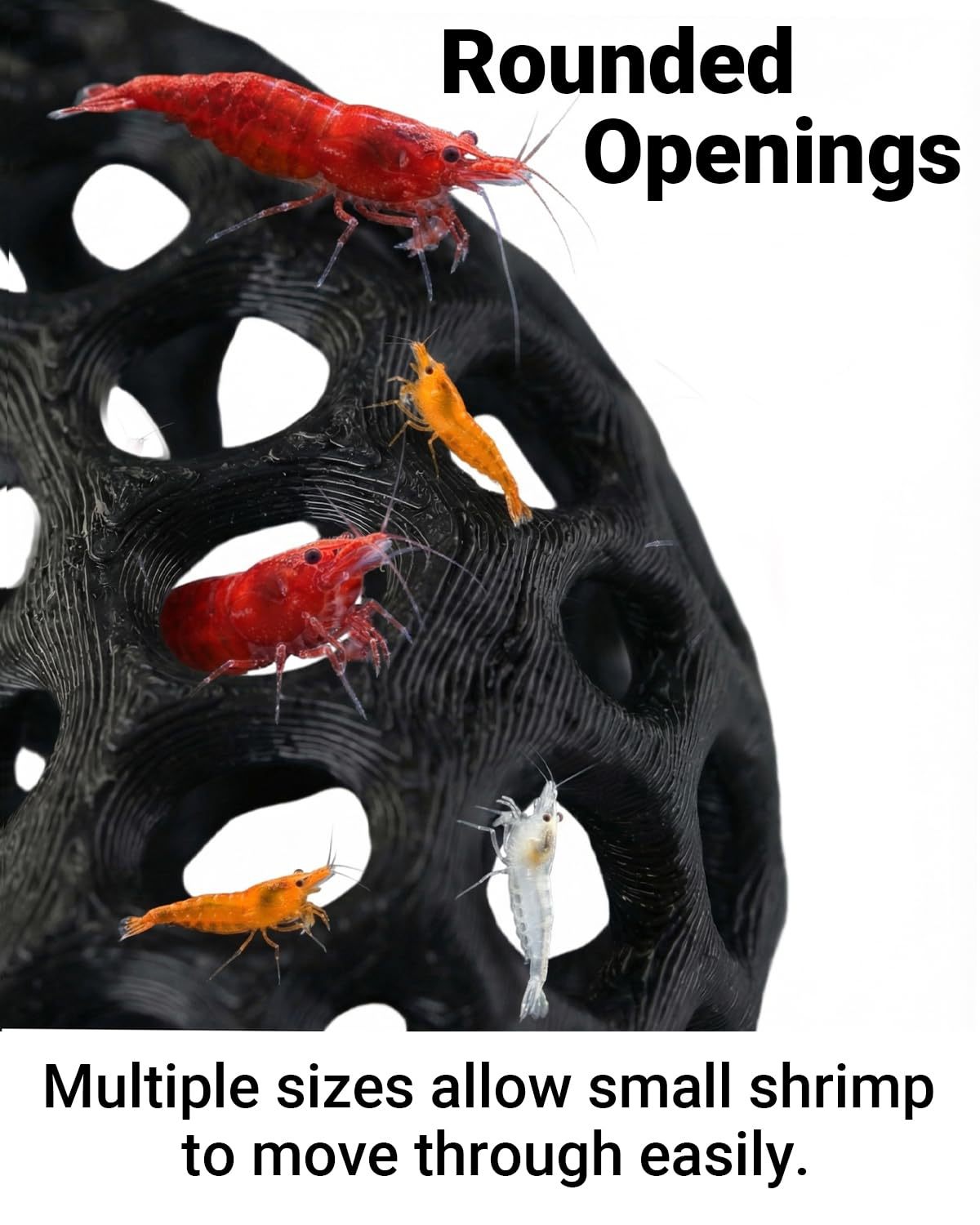 Popularny, drukowany w technol – Aquarium Fish Reproduction recenzja i cena