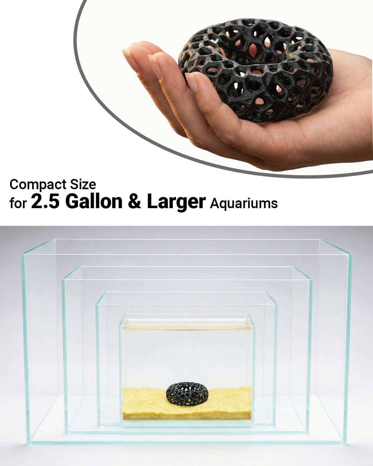 Popularny, drukowany w technol – Aquarium Fish Reproduction recenzja i cena