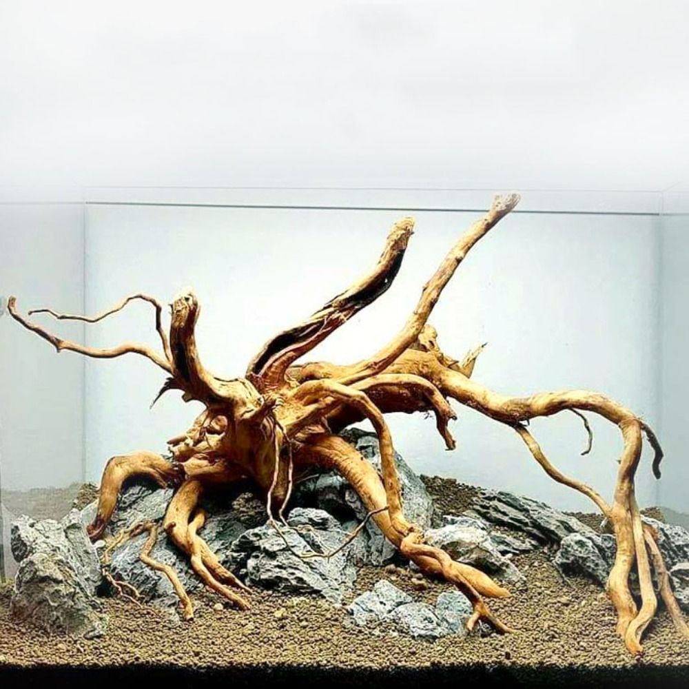 Naturalne drzewo pnia dekoracj – Aquarium Fish Enrichment recenzja i cena