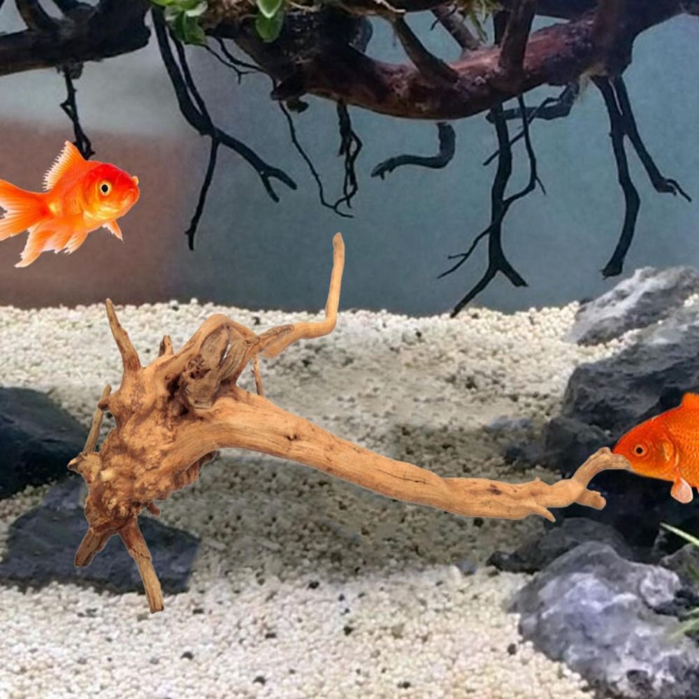 Naturalne drzewo pnia dekoracj – Aquarium Fish Enrichment recenzja i cena