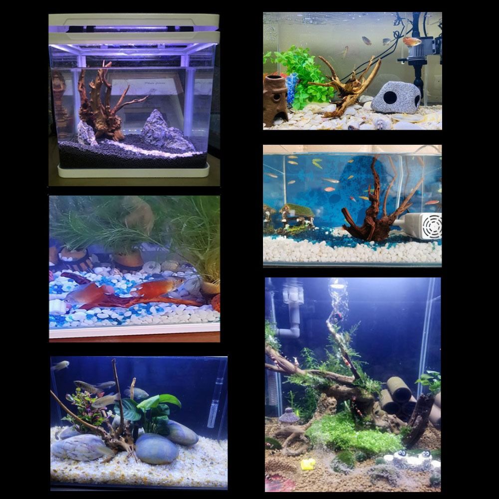 Naturalne drzewo pnia dekoracj – Aquarium Fish Enrichment recenzja i cena