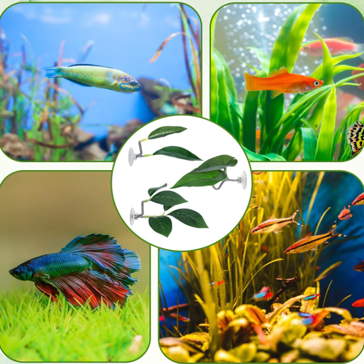Hamak dla rybki Betta, miękki  – Aquarium Fish Enrichment recenzja i cena
