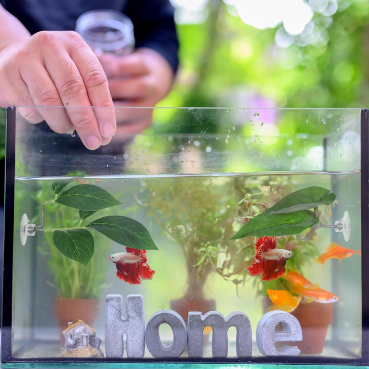 Hamak dla rybki Betta, miękki  – Aquarium Fish Enrichment recenzja i cena