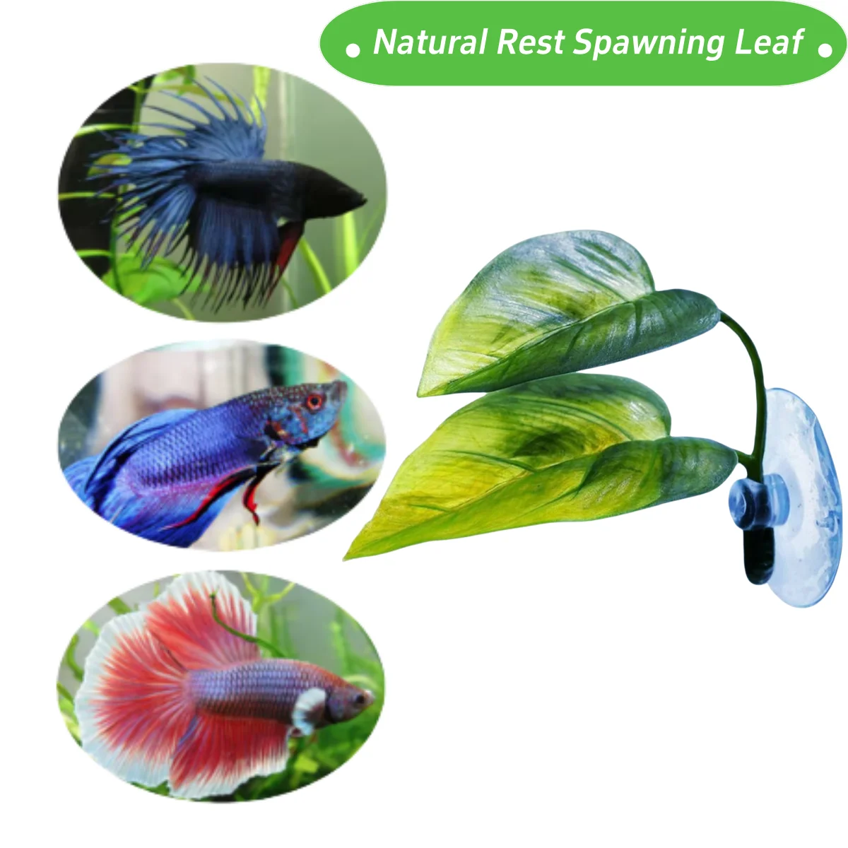 Dekoracje do akwarium dla ryb, – Aquarium Fish Enrichment recenzja i cena