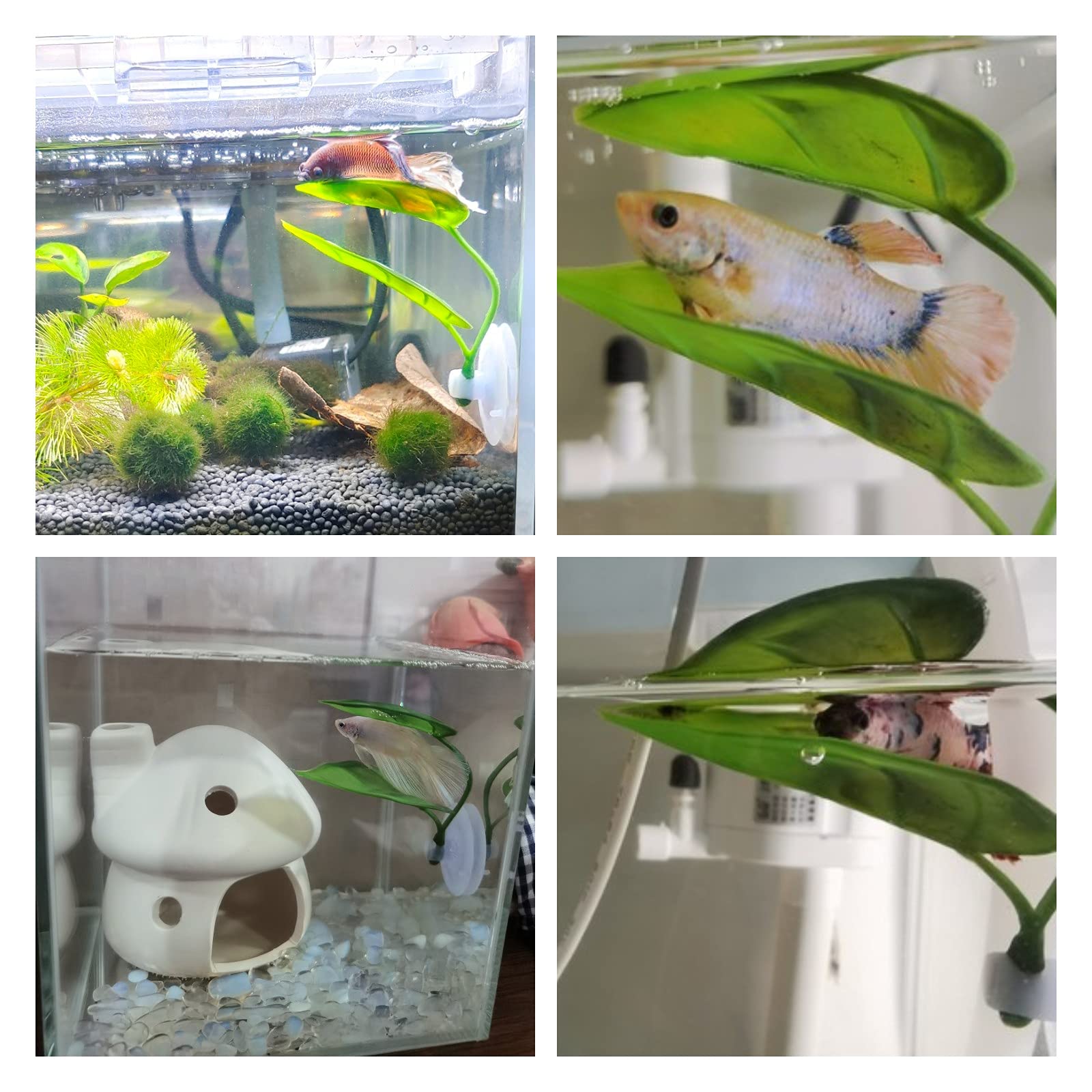 Dekoracje do akwarium dla ryb, – Aquarium Fish Enrichment recenzja i cena