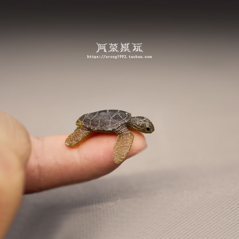 Życie morskie żółwiem morskim  – Aquarium Fish Japan recenzja i cena
