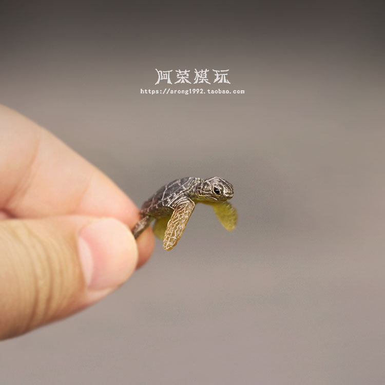 Życie morskie żółwiem morskim  – Aquarium Fish Japan recenzja i cena
