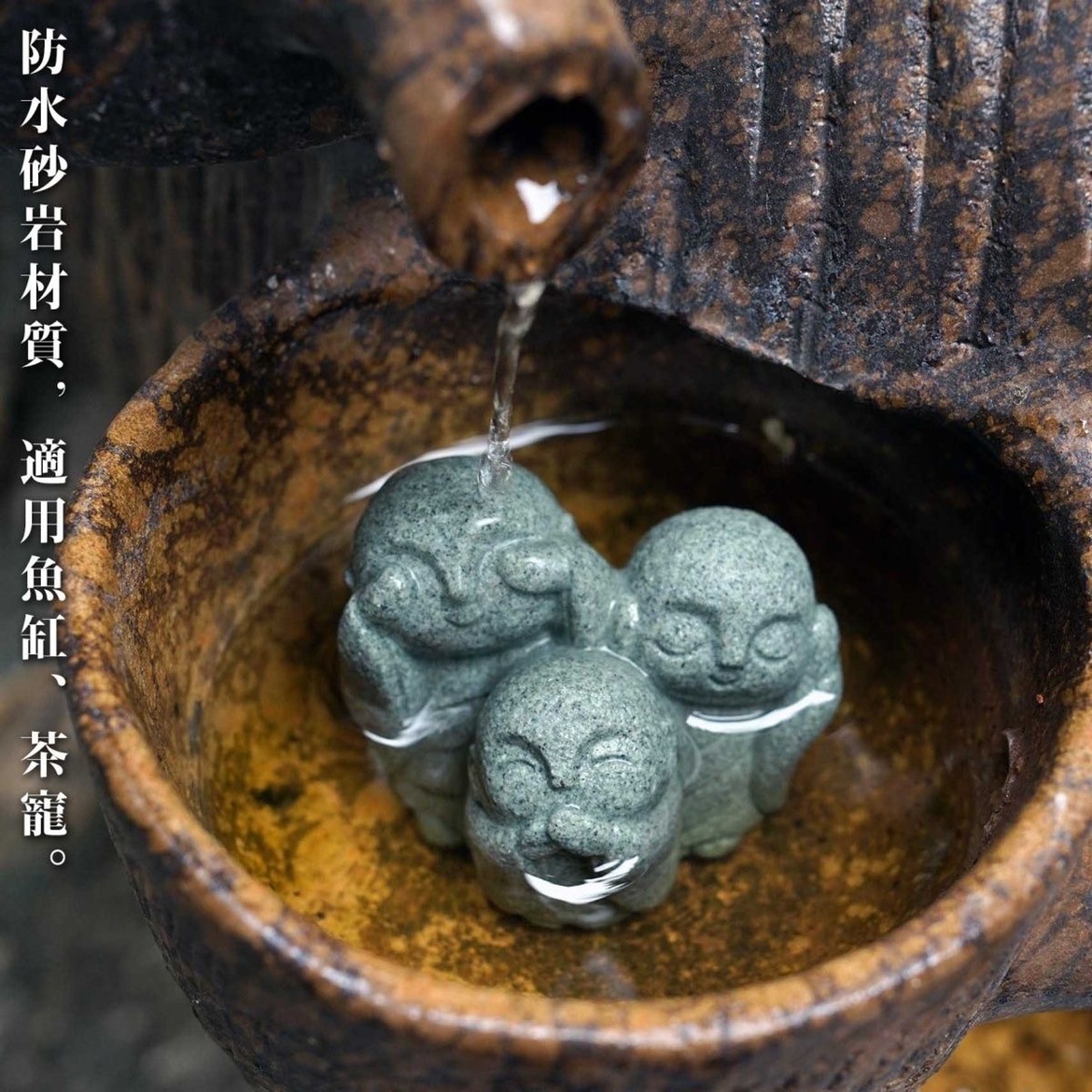 Śliczny japoński mnich Kyoto p – Aquarium Fish Japan recenzja i cena
