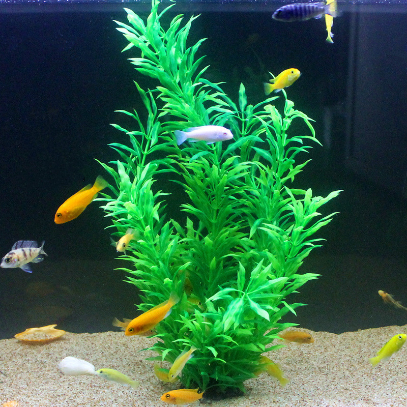 50CM sztuczne akwarium rzadkie – Aquarium Fish Real recenzja i cena