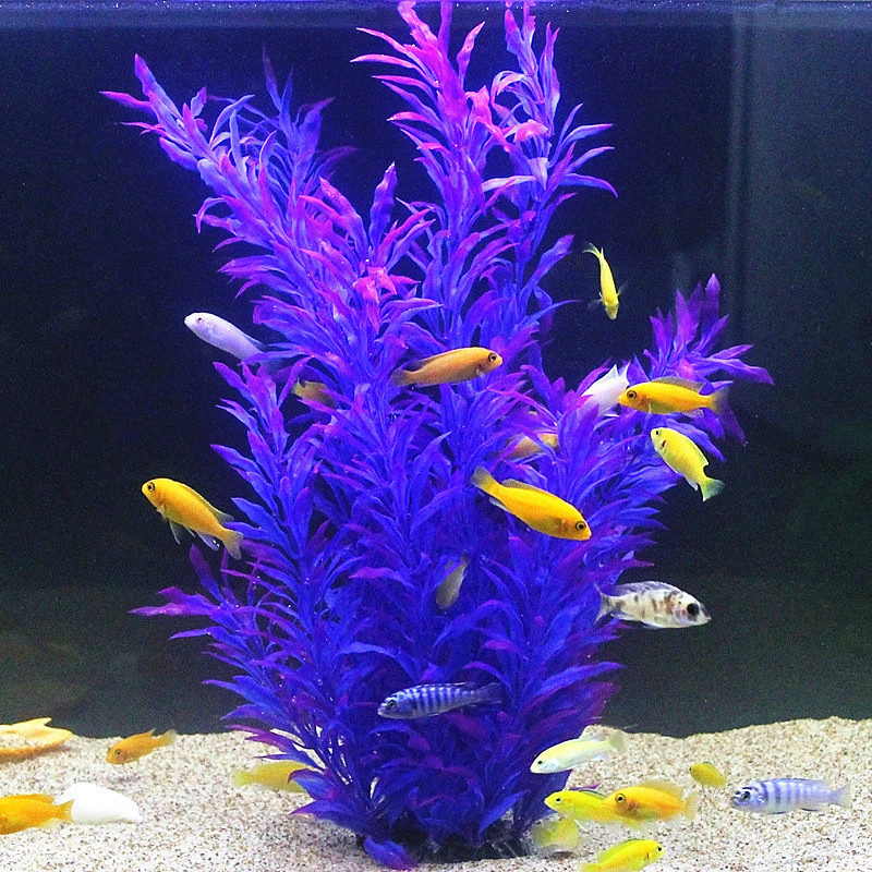 50CM sztuczne akwarium rzadkie – Aquarium Fish Real recenzja i cena