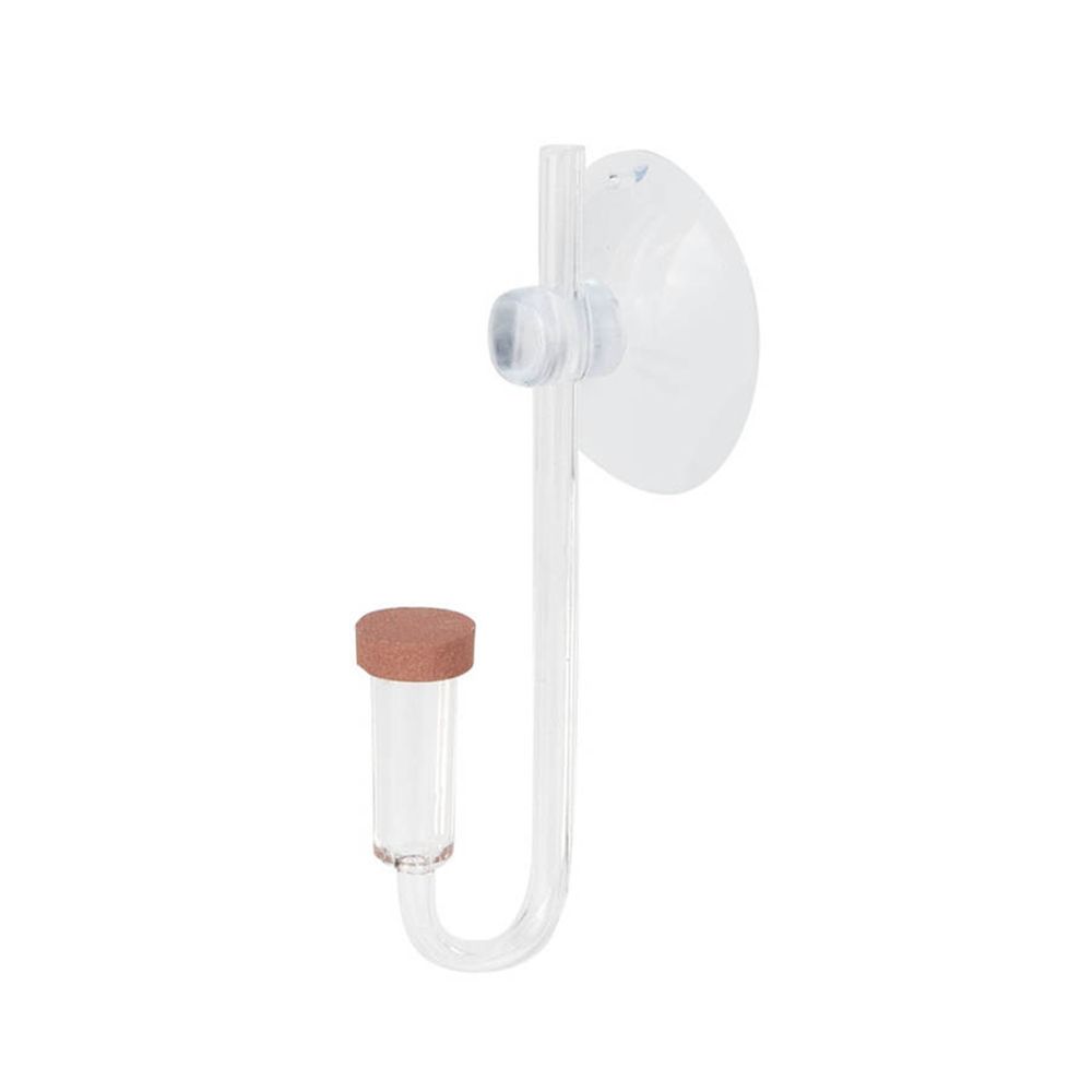 Akrylowy Mini Akwarium Rośliny – Aquarium Fish Real recenzja i cena