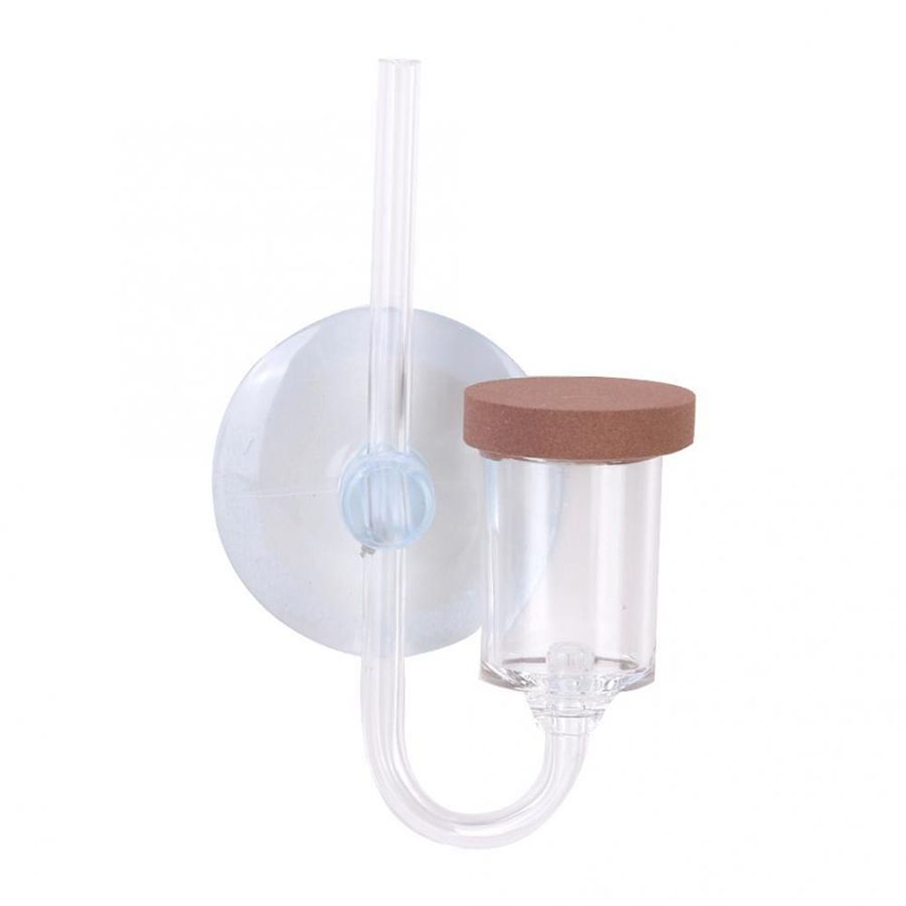 Akrylowy Mini Akwarium Rośliny – Aquarium Fish Real recenzja i cena