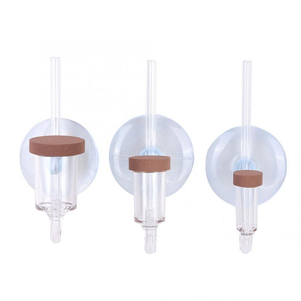 Akrylowy Mini Akwarium Rośliny – Aquarium Fish Real recenzja i cena